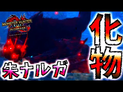 【モンハンサンブレイク】傀異化ナルガが化物過ぎるｗ初見ソロ双剣討伐【MHRise/モンスターハンターライズ