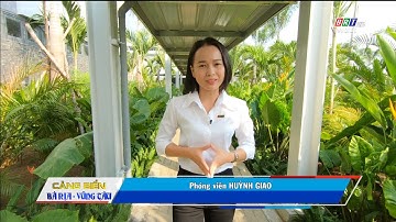 Khám phá siêu cảng Gemalink | BRT TV