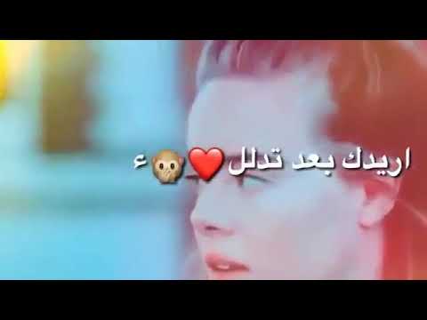 اغنيه جمالك ماخذ الاول