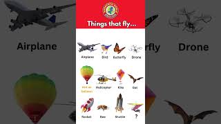 Things That Fly...