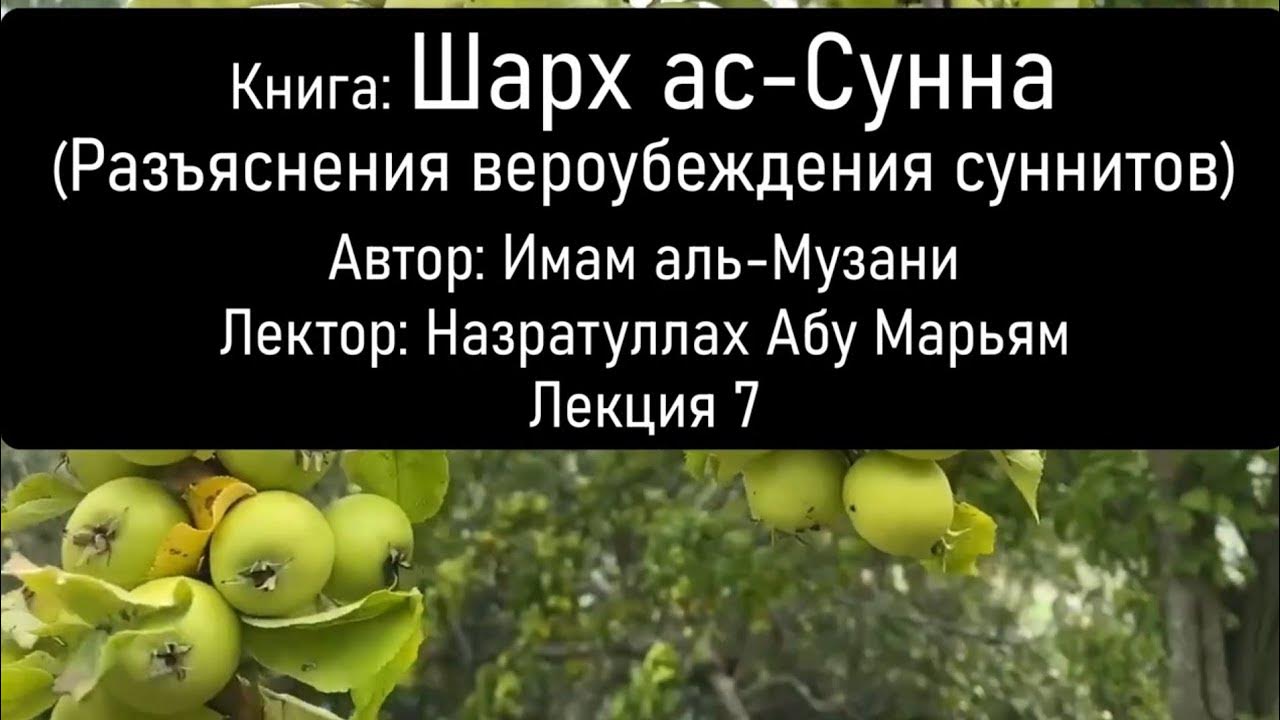 7 Книга: Шарх ас-Сунна (Разъяснения вероубеждения суннитов). Автор ...
