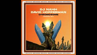 David Hopperman, DJ Nahh _ Chromosome (Original Mix)