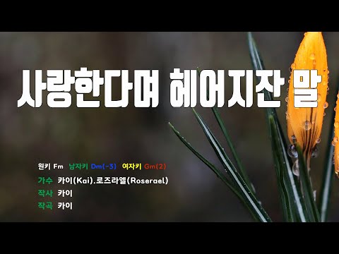 은성 반주기 사랑한다며헤어지잔말 카이 Kai 로즈라엘 Roserael