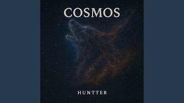 IN TO THE MULTIVERSE