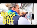 Taking my dog on a day out  emily grosser vlog