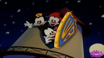 YTP - The Warners But They