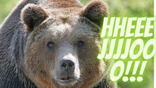 ,,Dziadek I niedźwiadek część 5  Nazwijcie go Wojciech'.