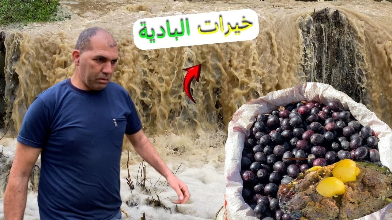 سحر البادية بعد التساقطات 🌧️ طاجين على الحطب وجني الزيتون | بني زروال