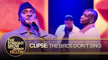 Clipse: The Birds Don