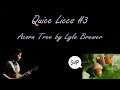 Quicc Liccs #3: Transition lick from &quot;Acorn Tree&quot; by Lyle Brewer