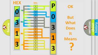 DTC Mini P0313 Short Explanation