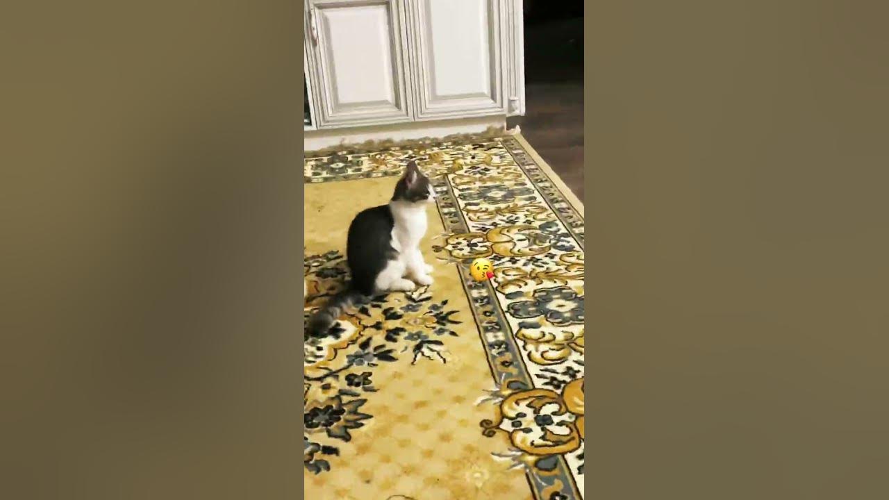 Соня лучшая - YouTube