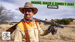 Arizona Quail Slam: Mearns, Scaled & Gambel's by Chris Dorsey's Outdoor World 410 views 2 weeks ago 8 minutes, 7 seconds