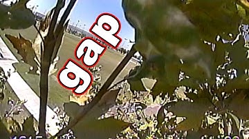 Tried GAPS but got a TREE instead // ZOHD Dart FPV Wing 🤷‍♂️