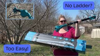 This Extendable Tree Saw & Pruner Set Made Yard Work SO Easy! 🌳✂️