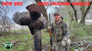 Dickman - RVP Turkey Hunt by Ridge & Valley Pursuits 466 views 11 months ago 10 minutes, 16 seconds