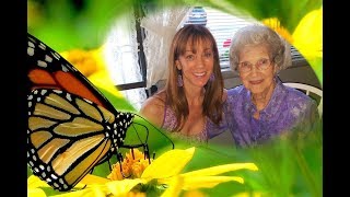 Catherine Casseday Butterfly Release HD