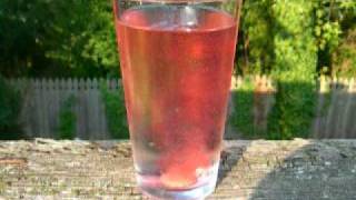 Kool-Aid Funfizz The Movie