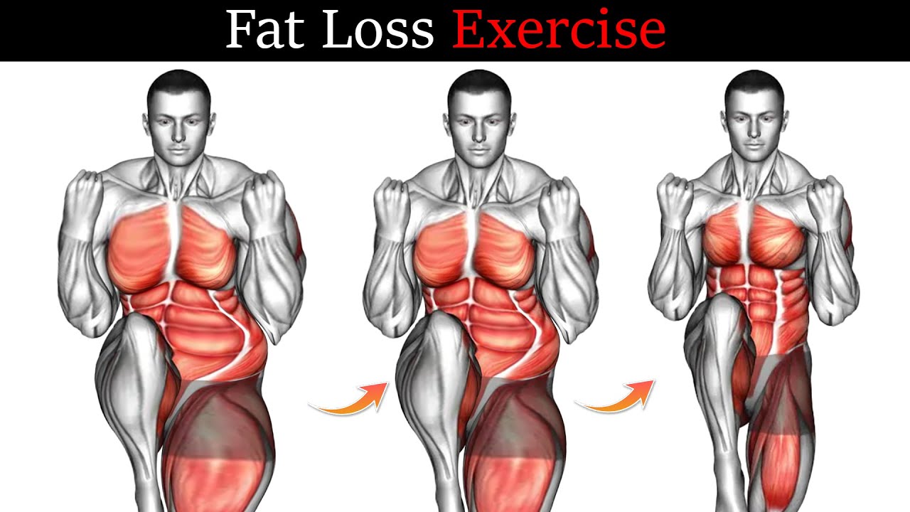 Full Body Fat Loss Workout Best Exercises For Full Body Fat Loss full-body-fat-loss-workout-best-exercises-for-full-body-fat-loss