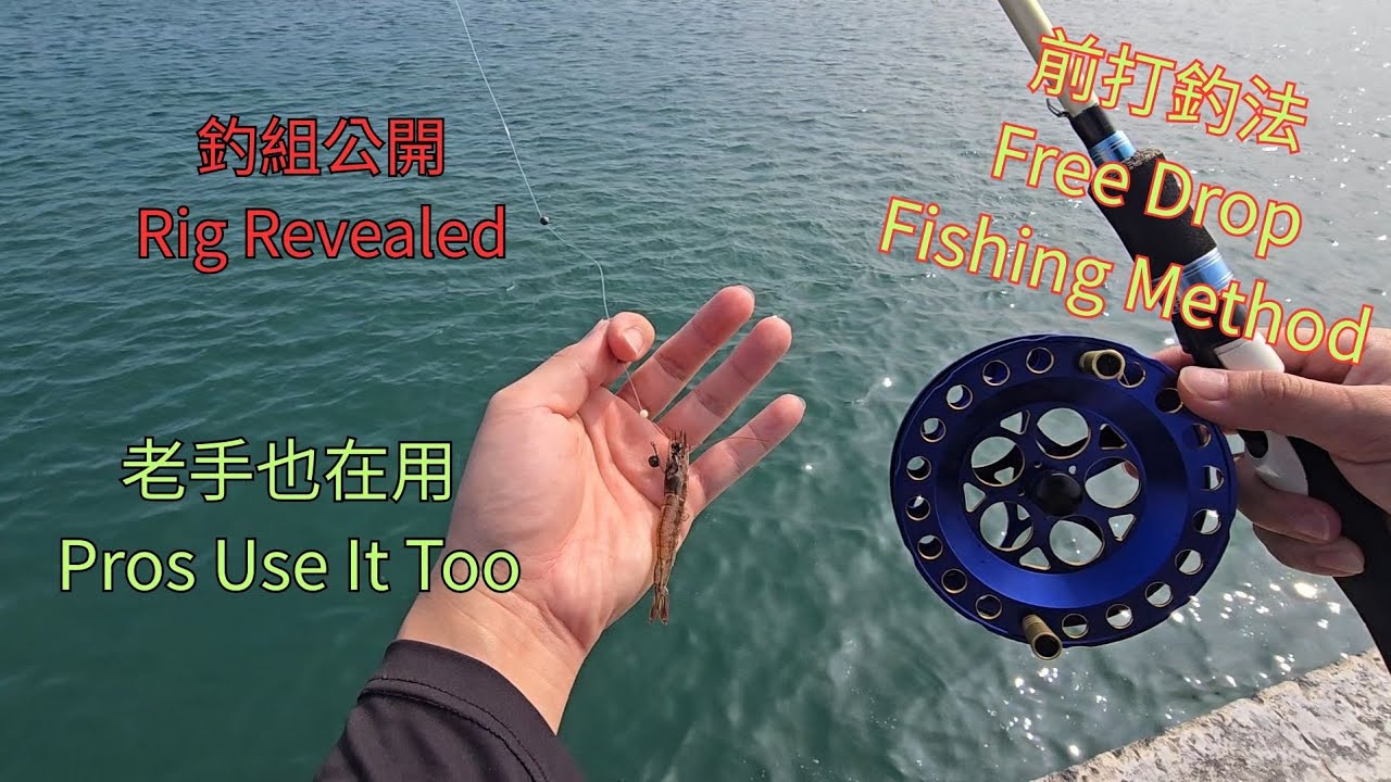 前打釣組介紹，初學者必看！