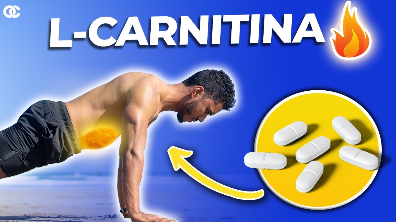 l carnitine or l arginine for sperm Amazon.com: L-Arginine supplement for men, Male Fertility Supplement , Sperm  Motility Support & Male Reproductive Health Formula with L-Carnitine, Acetyl  L-Carnitine, Zinc, CoQ10, 60 Servings Powder : Health & Household