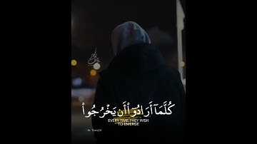 قراءة هادئة من سورة السجدة بصوت القارئ عبدالرحمن مسعد 🍂
