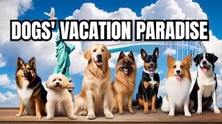 VISITING THE TOP 10 BEST US DOG-FRIENDLY VACATION SPOTS!