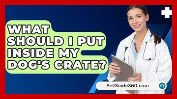 What Should I Put Inside My Dog