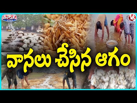 Unseasonal Rain Damages Paddy and Cotton Crops in Market Yard | V6 Teenmaar - V6NEWSTELUGU