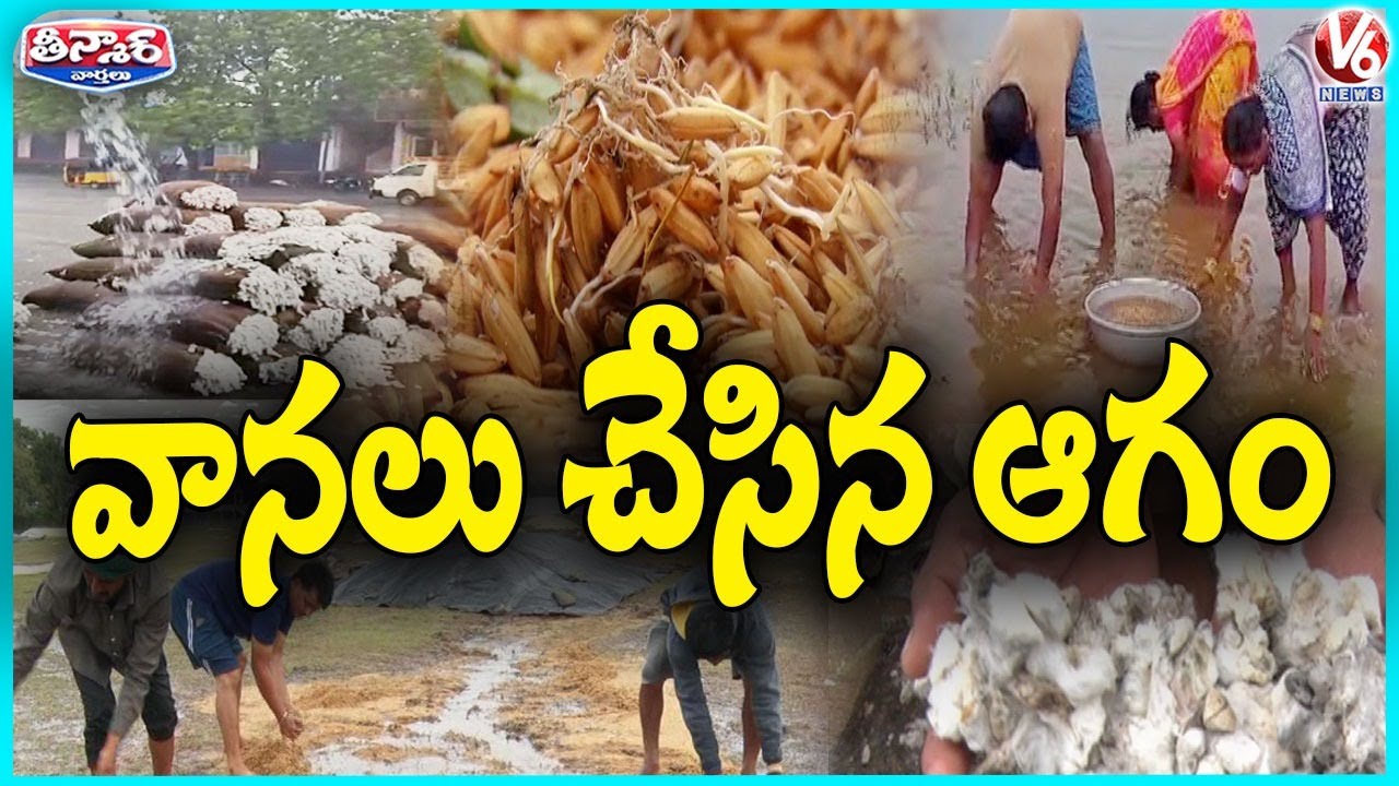 Unseasonal Rain Damages Paddy and Cotton Crops in Market Yard | V6 ...
