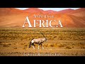 Animals of Africa 4K - Scenic Relaxation Film With Calming Music