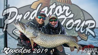 Catch With Care - Predator Tour Sweden 2019