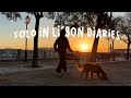 last days dog sitting in lisbon, sunset walks, remote working and a few sick days | lisbon pt 3