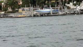 William - Boat Cruise - Downtown Tampa Usa 1
