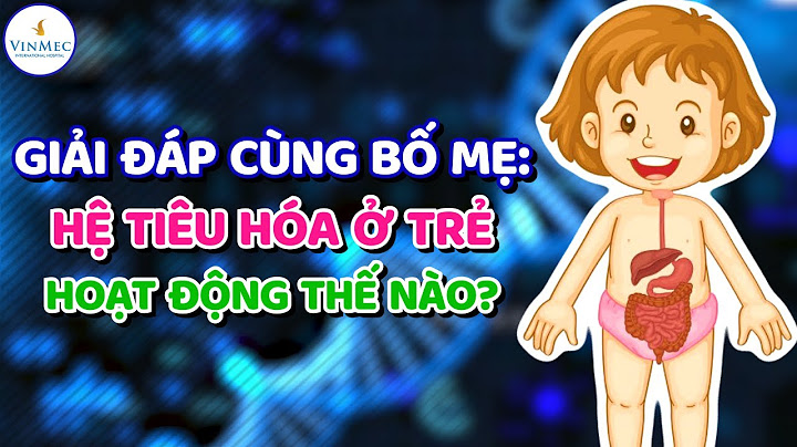 Hoạt động tiêu hóa nào đóng vai trò quan trọng