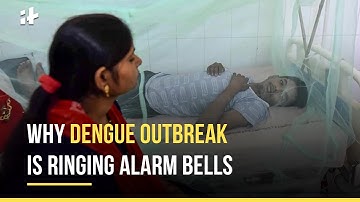Why Dengue Outbreak Is Ringing Alarm Bells