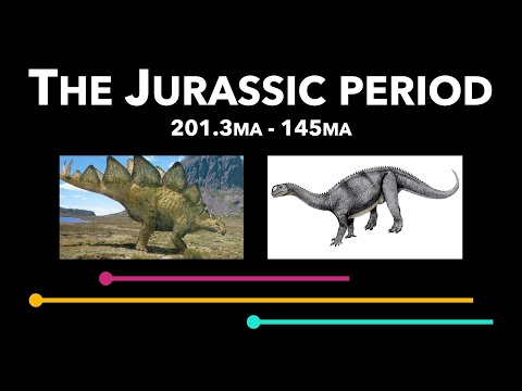 Video: Kesalahpahaman Dalam Sejarah - Dari Periode Jurassic Hingga Saat Ini - Pandangan Alternatif