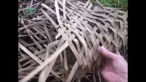 Does Sasquatch Weave? gifting area