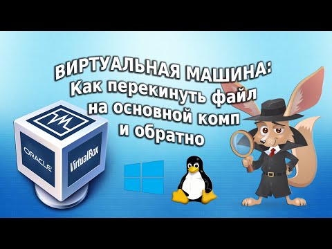 Видео: Как мне импортировать файлы в VirtualBox?