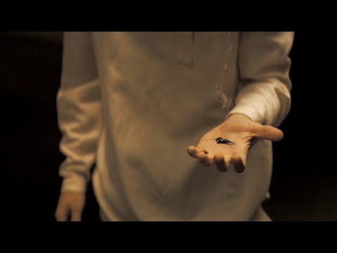 Покушение на Пола. Дюна (2021).