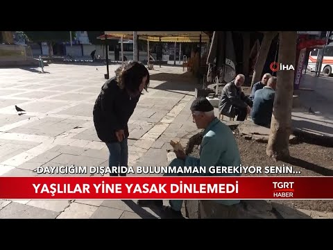 Video: Dövüş sanatları ve sporda ciddi başarılar elde eden 7 Rus aktris