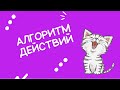 АЛГОРИТМ ДЕЙСТВИЙ - с чего начать швейный проект?