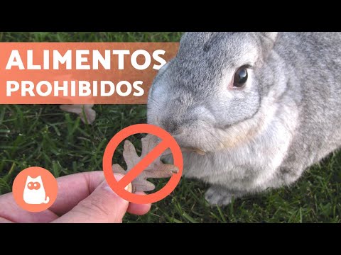 Video: Qué es el carbón coquizable y dónde se usa