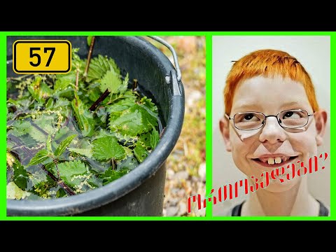 ჯოხი #57 როგორ მოვწალოთ ჭინჭარი