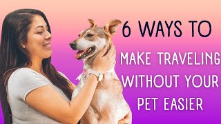 6 Ways to Make Traveling Without Your Pet Easier by Animal Kingdom 64 views 8 months ago 3 minutes, 50 seconds