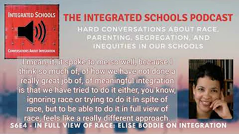 S6E4 - In Full View of Race: Elise Boddie on Integ...