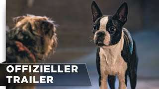 Doggy Style | Offizieller Green Band Trailer deutsch/german HD