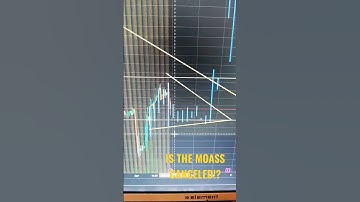 Is The MOASS Canceled?!😞