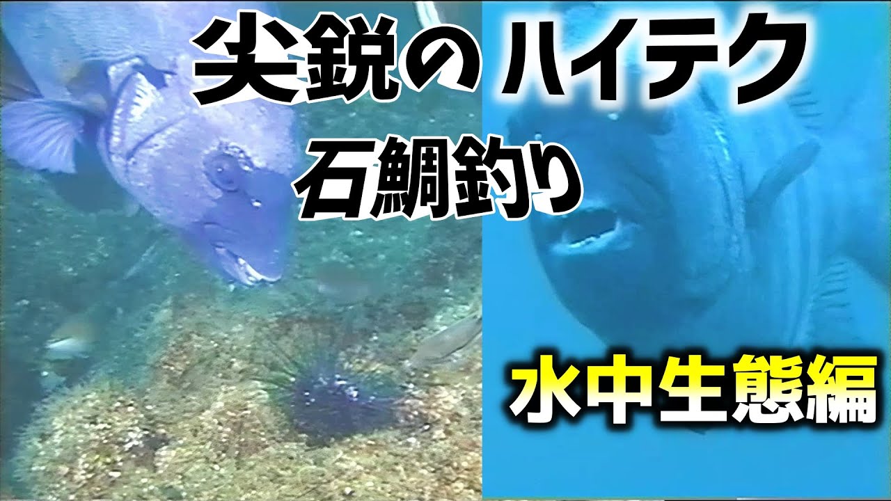 柳孝治 尖鋭のハイテク石鯛釣り 水中生態編 Youtube 柳孝治 尖鋭のハイテク石鯛釣り 水中生態編 Youtube