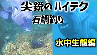 【柳孝治】尖鋭のハイテク石鯛釣り　水中生態編